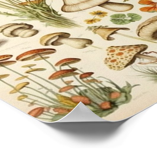 Vintager Mushroom-Cocktail Poster (Ecke)