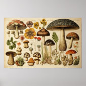 Vintager Mushroom-Cocktail Poster (Vorne)