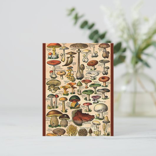 Vintager Mushroom-Guide Postkarte (Stehend Vorderseite)