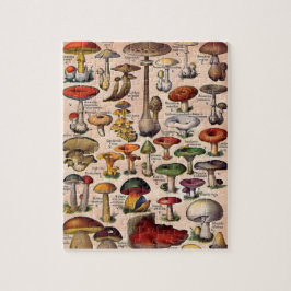 Vintager Mushroom-Guide Puzzle