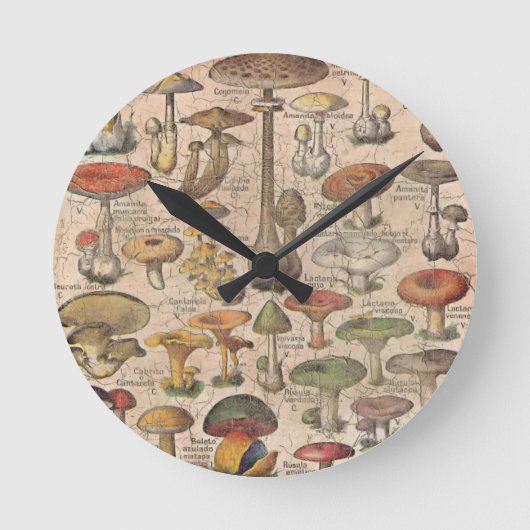 Vintager Mushroom-Guide Runde Wanduhr (Vorderseite)