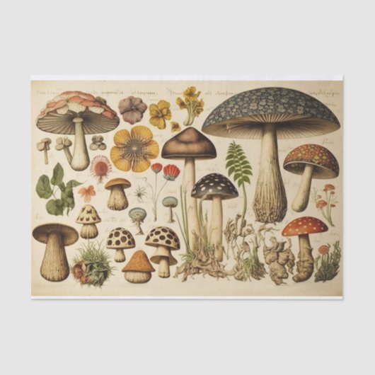 Vintager Mushroom-Kernausschnitt Seidenpapier (Vorderseite)