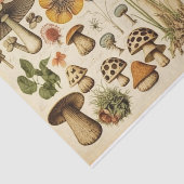 Vintager Mushroom-Kernausschnitt Seidenpapier (Ausschnitt)