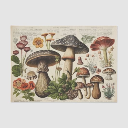 Vintager Mushroom-Kernausschnitt Seidenpapier (Vorderseite)