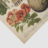 Vintager Mushroom-Kernausschnitt Seidenpapier (Detail)