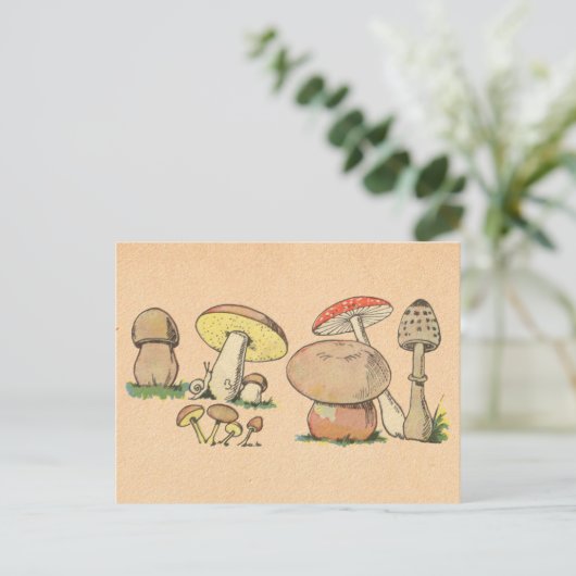 Vintager Mushroom Postkarte (Stehend Vorderseite)