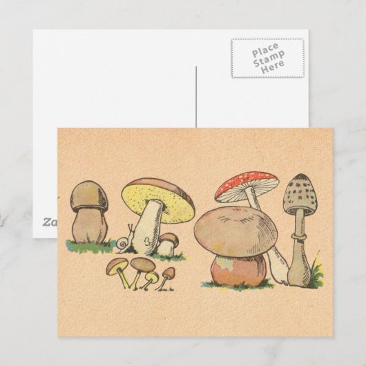Vintager Mushroom Postkarte (Vorne/Hinten)