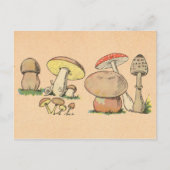 Vintager Mushroom Postkarte (Vorderseite)