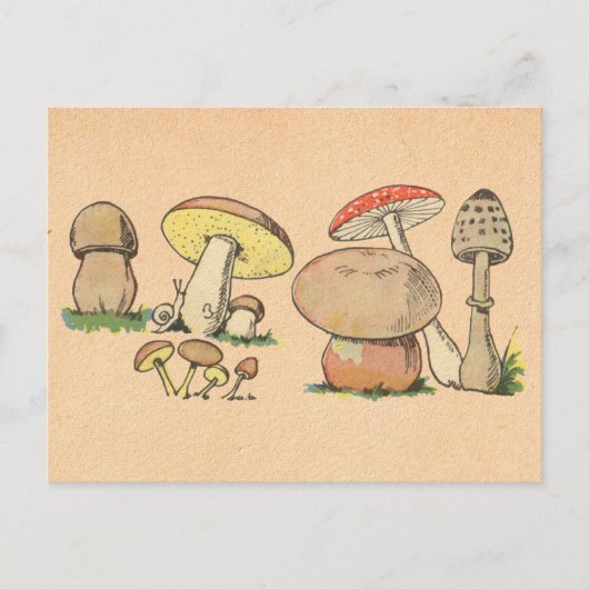 Vintager Mushroom Postkarte (Vorderseite)