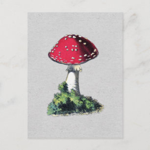 Vintager Mushroom Postkarte