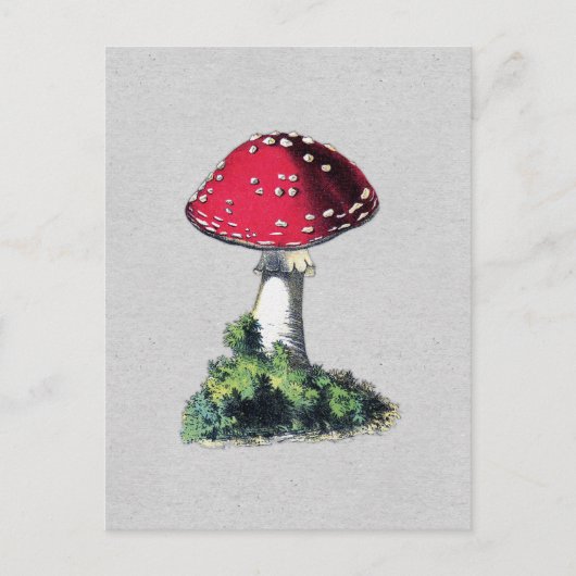 Vintager Mushroom Postkarte (Vorderseite)