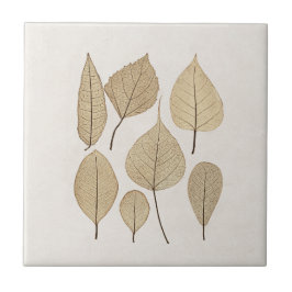 Vintager naturalistischer botanischer Zeichn | Blä Fliese