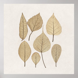 Vintager naturalistischer botanischer Zeichn | Blä Poster