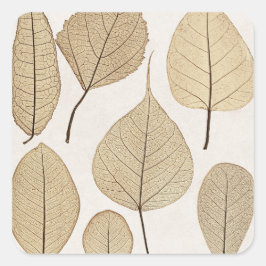 Vintager naturalistischer botanischer Zeichn | Blä Quadratischer Aufkleber