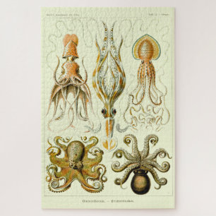 Vintager Nautischer Oktopus von Ernst Haeckel Puzzle