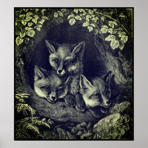 Vintager Nebelwald Poster