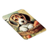 Vintager Niedlicher Beagle Welpe Magnet (Rechte Seite)