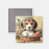 Vintager Niedlicher Beagle Welpe Magnet (Vorderseite/Rückseite)