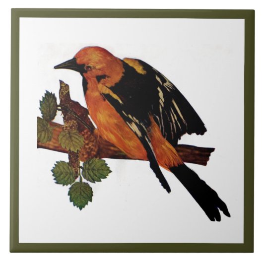 Vintager Niedlicher Bright-Bird und Foliage Fliese (Vorderseite)