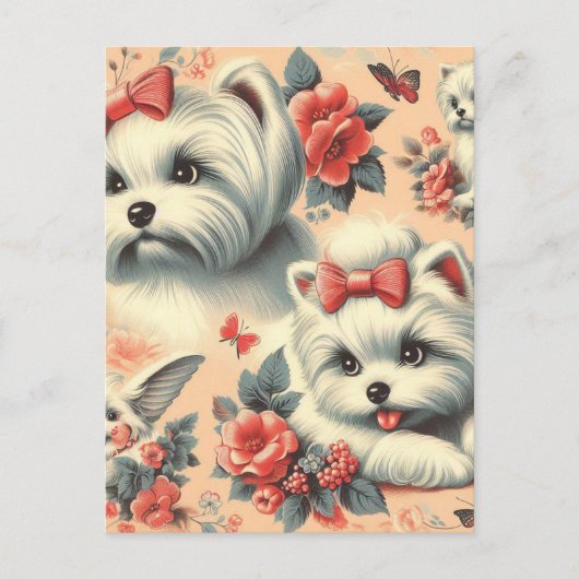 Vintager Niedlicher maltesischer Hund Postkarte (Vorderseite)