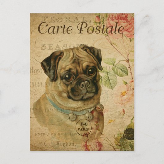 Vintager Niedlicher Mops Postkarte (Vorderseite)