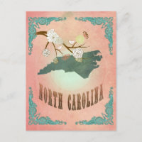 Vintager North Carolina Staat Karte - Pastellpfirk