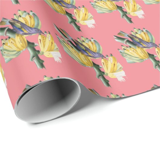 Vintager Obstvogel Geschenkpapier (Rolleneckpunkt)