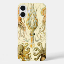 Vintager Octopus-Tintenfisch Gamochonia von Ernst iPhone 16 Plus Hülle