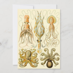 Vintager Octopus-Tintenfisch Gamochonia von Ernst  Einladung