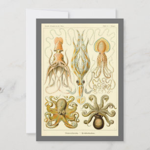 Vintager Octopus-Tintenfisch Gamochonia von Ernst  Einladung