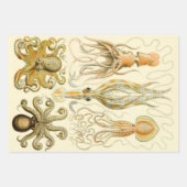 Vintager Octopus-Tintenfisch Gamochonia von Ernst  Geschenkpapier Set (Vorderseite 2)