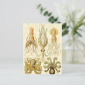 Vintager Octopus-Tintenfisch Gamochonia von Ernst  Postkarte (Stehend Vorderseite)