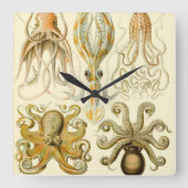 Vintager Octopus-Tintenfisch Gamochonia von Ernst  Quadratische Wanduhr (Vorderseite)