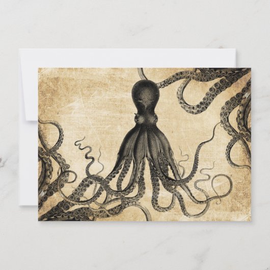 Vintager Oktopus Ankündigung (Rückseite)