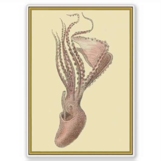 Vintager Oktopus Aufkleber (Vorderseite)