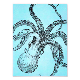Vintager Oktopus der 1800er Jahre auf Aquamariner  Fotodruck
