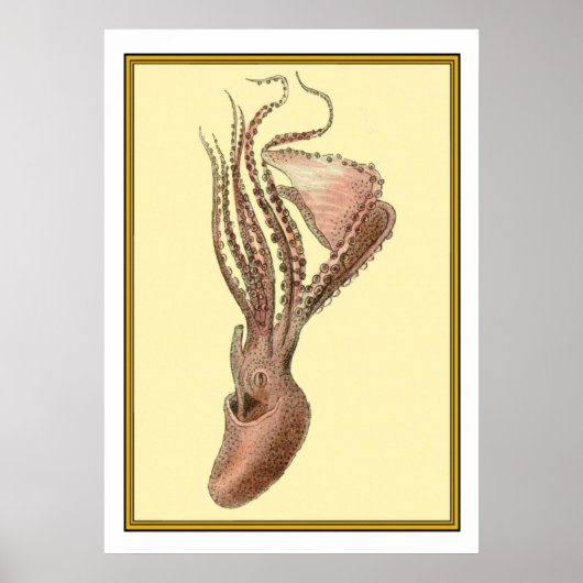 Vintager Oktopus Poster (Vorne)