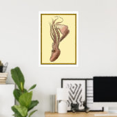 Vintager Oktopus Poster (Heimbüro)