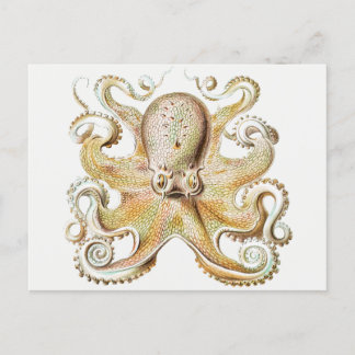 Vintager Oktopus Postkarte