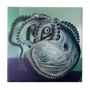 Vintager Oktopus Tintenfisch Nautilus Argonaut Fliese