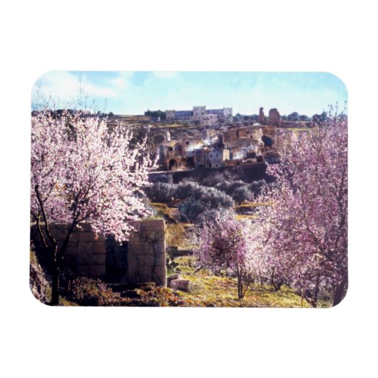 Vintager Olive-Jerusalem-Berg Israel 1950 - 77 Magnet (Horizontal)