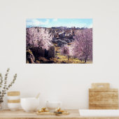 Vintager Olive-Jerusalem-Berg Israel 1950 - 77 Poster (Küche)