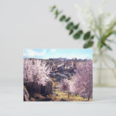 Vintager Olive-Jerusalem-Berg Israel 1950 - 77 Postkarte (Stehend Vorderseite)