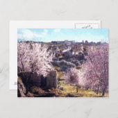 Vintager Olive-Jerusalem-Berg Israel 1950 - 77 Postkarte (Vorne/Hinten)