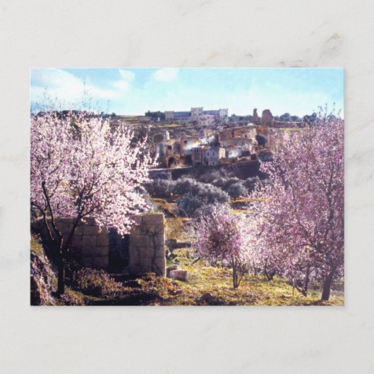 Vintager Olive-Jerusalem-Berg Israel 1950 - 77 Postkarte (Vorderseite)