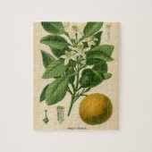 Vintager orange botanischer Druck Puzzle (Vertikal)