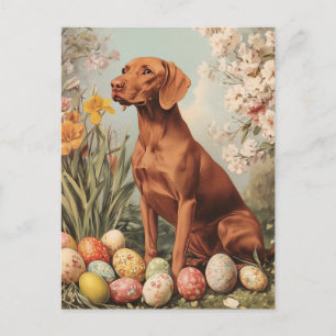 Vintager Ostern von Vizsla Postkarte