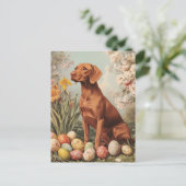 Vintager Ostern von Vizsla Postkarte (Stehend Vorderseite)