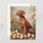 Vintager Ostern von Vizsla Postkarte (Vorne/Hinten)