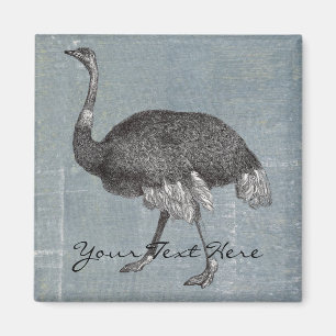 Vintager Ostrich Magnet
